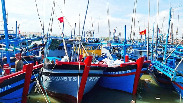 100% tàu đánh cá xa bờ tỉnh Đắk Lắk gắn thiết bị giám sát hành trình.