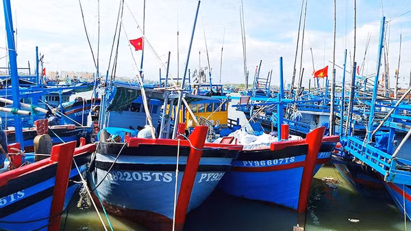 100% tàu đánh cá xa bờ tỉnh Đắk Lắk gắn thiết bị giám sát hành trình.