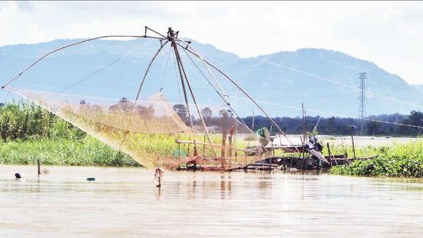 Xóm vó cá Nhơn Hưng, phường Thái Sơn, tỉnh An Giang vào mùa đánh bắt.