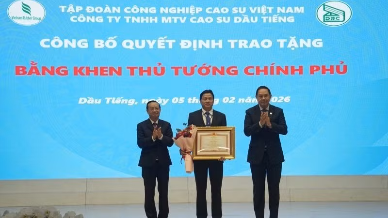 h5-dau-tieng.jpg