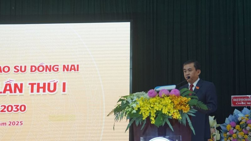 Phó Bí thư phụ trách Đảng ủy, Tổng Giám đốc Đỗ Minh Tuấn phát biểu khai mạc. h-dai-hoi-cs-dnai.jpg