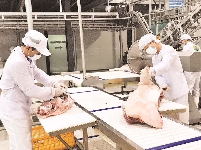 Dây chuyền giết mổ gia súc được đầu tư hiện đại.