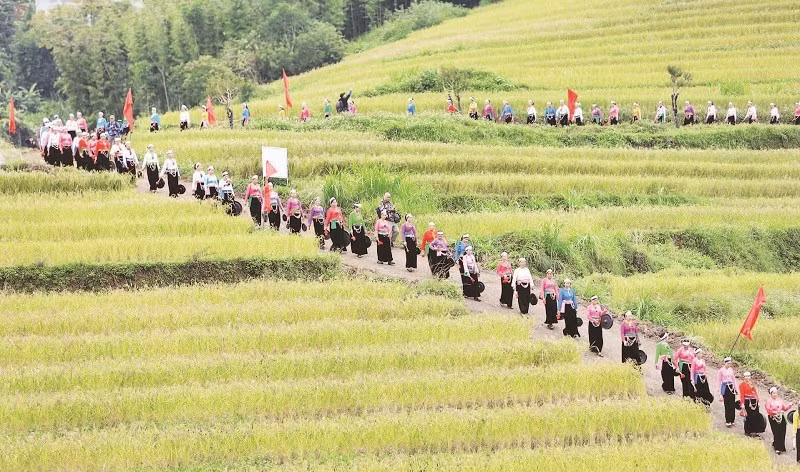 Các nghệ nhân trình diễn chiêng Mường tại Lễ hội ruộng bậc thang Miền Đồi năm 2025.