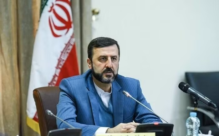 Thứ trưởng Ngoại giao Iran Kazem Gharibabadi. (Ảnh: TTXVN)