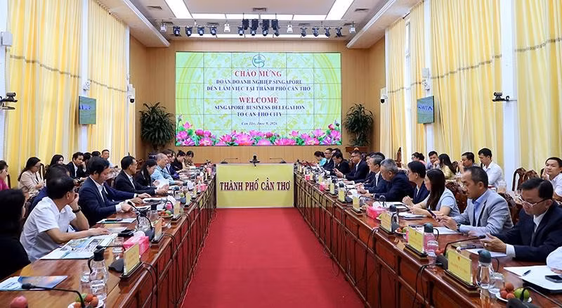 Lãnh đạo thành phố Cần Thơ tiếp đoàn doanh nghiệp Singapore tìm hiểu cơ hội đầu tư.