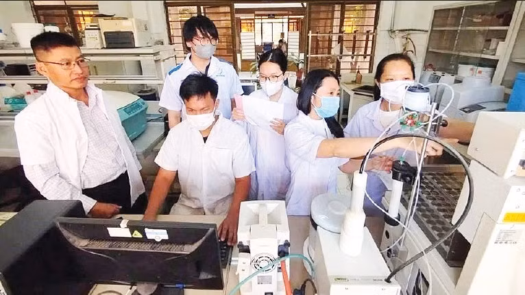 Tiến sĩ Bùi Đình Thạch (ngoài cùng bên trái) trao đổi với nhóm nghiên cứu về tác dụng của cây ngải trắng. (Ảnh: VAST)
