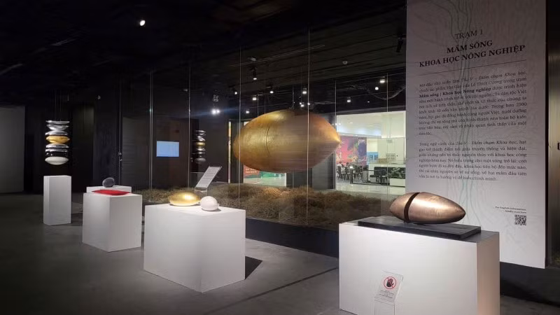 Bộ tác phẩm "Hạt gạo" của cố họa sĩ Lê Thiết Cương trưng bày tại triển lãm TỎA V. 