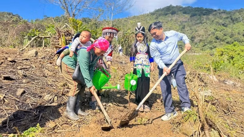 Trồng cây, phủ xanh đất trống, đồi trọc tại xã Mường Xén, tỉnh Nghệ An. (Ảnh: THU HOÀI)