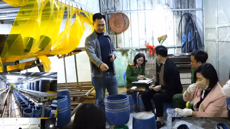 Lực lượng chức năng kiểm tra cơ sở sản xuất giá đỗ sử dụng chất cấm của Trần Quốc Đại.