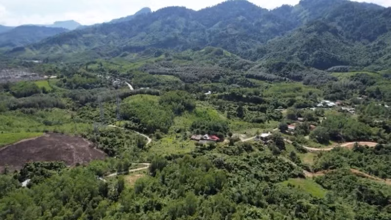 Khơi thông nguồn lực từ tín chỉ carbon rừng. (Ảnh: Đỗ Bảo)