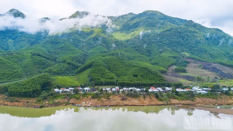 BIODEV2030 từng bước đưa bảo tồn đa dạng sinh học trở thành động lực thúc đẩy chuyển đổi sản xuất trong lâm nghiệp và thủy sản.