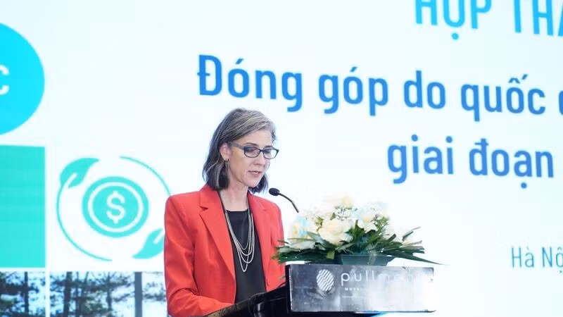 3110-undp-17413128-3607.jpg