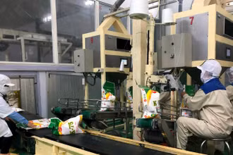 Dây chuyền sản xuất gạo K-75.