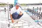 Ông Lê Văn Sấm bên ao nuôi tôm ứng dụng công nghệ cao