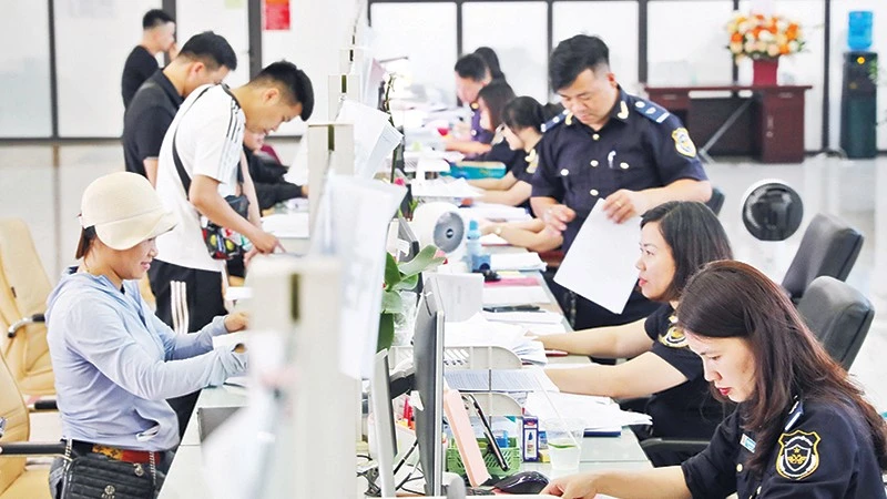 Chính phủ tạm ngưng Nghị định 46 về an toàn thực phẩm sau phản ứng doanh nghiệp