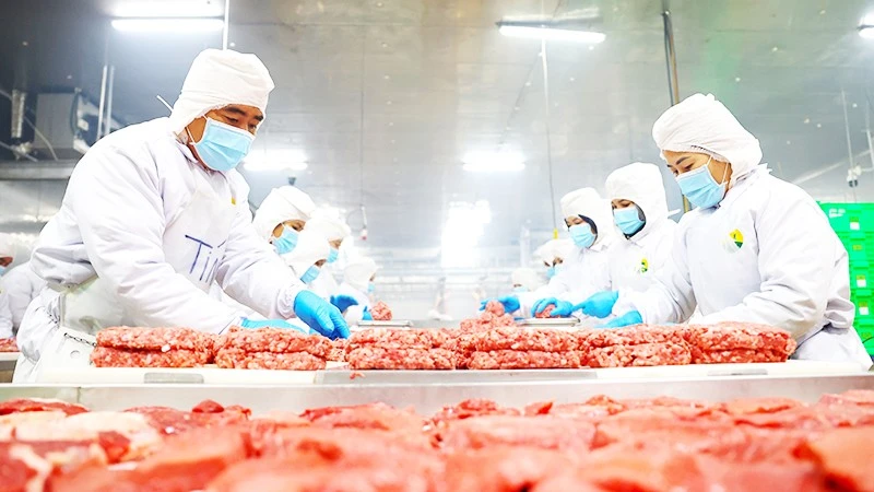 Siết Chặt An Toàn Thực Phẩm: Quản Lý Chuỗi Và Tiêu Chuẩn Học Đường