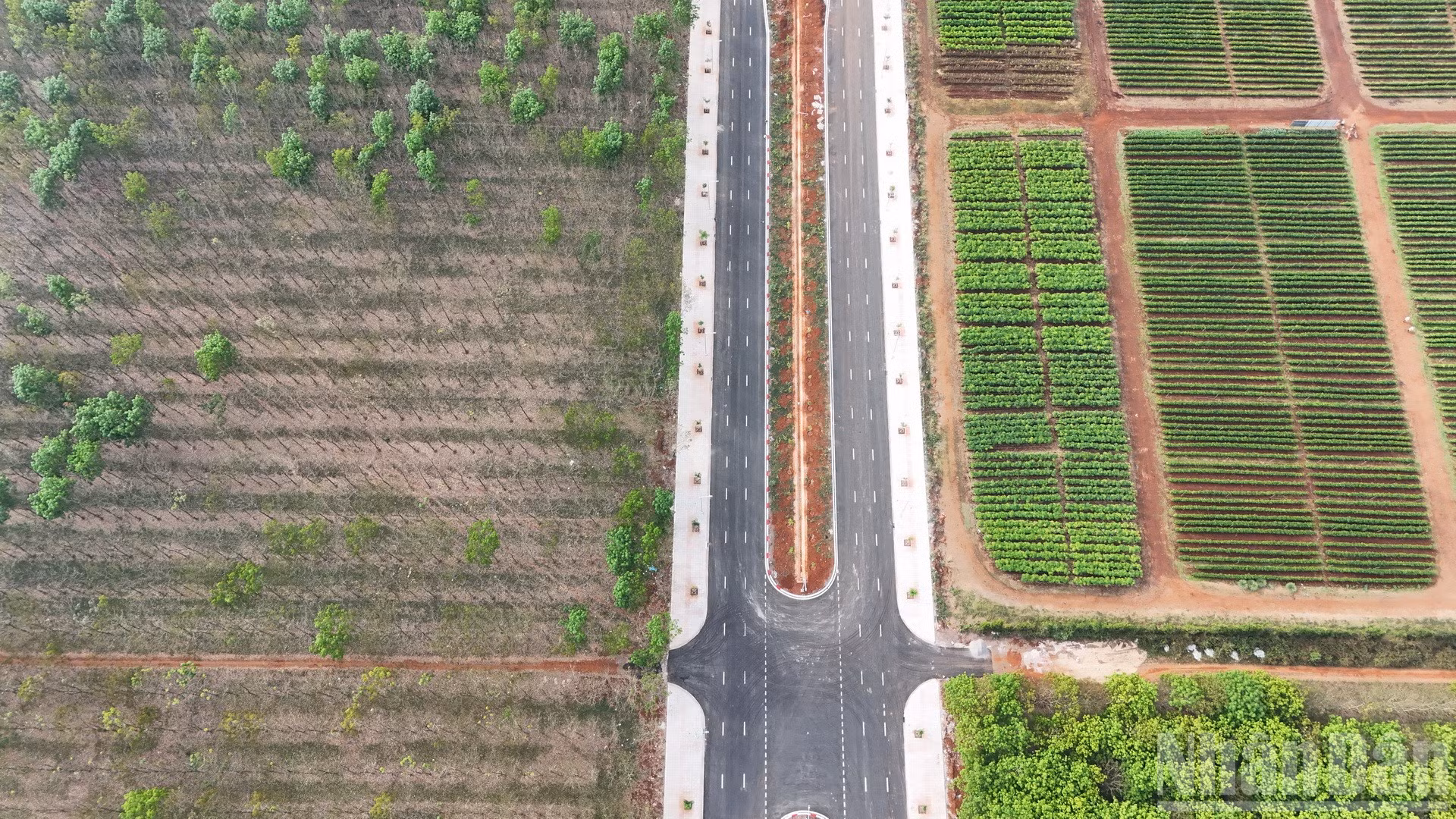 ndo_br_dji-20260203093929-0801-d-resize.jpg