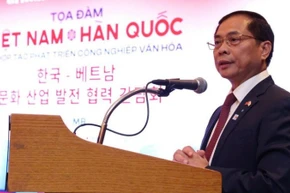 Phó Thủ tướng, Bộ trưởng Ngoại giao Việt Nam Bùi Thanh Sơn phát biểu tại Tọa đàm. (Nguồn: Báo Chính phủ)