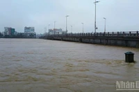 (Ảnh minh họa: MINH TRANG)