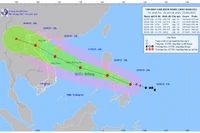 Bản đồ dự báo quỹ đạo và cường độ bão Bualoi phát lúc 20 giờ ngày 25/9/2025. (Ảnh: Trung tâm Dự báo khí tượng thủy văn quốc gia)