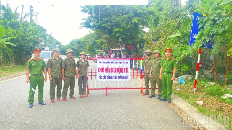 Xã Sơn Cẩm Hà lập chốt kiểm dịch động vật để kiểm soát dịch tả lợn châu Phi.