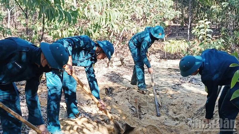 Lực lượng quân sự tiến hành đào hố chôn lợn bệnh theo đúng quy định. ndo_br_dfdjfkd.jpg
