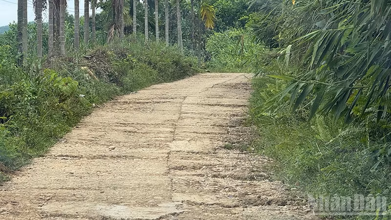 ndo_br_18.jpg