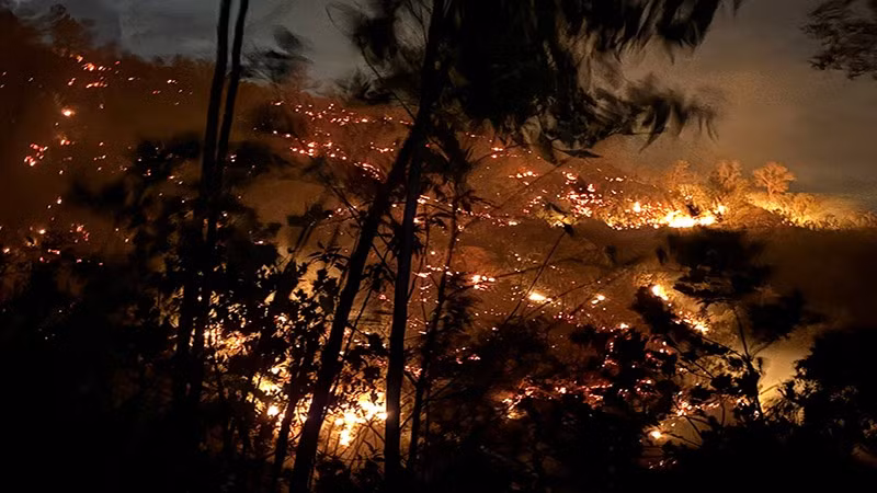 Do thời tiết hanh khô, kết hợp gió lớn, lửa đã âm ỉ cháy ngầm và bùng phát trở lại vào rạng sáng 20/7.