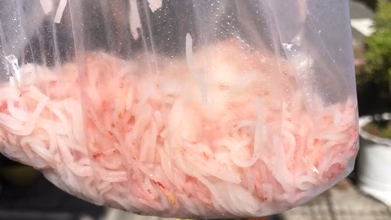 Bún tươi mua tại chợ Hòa Châu, phường Hòa Xuân, thành phố Đà Nẵng có dấu hiệu bất thường. (Ảnh người dân cung cấp)