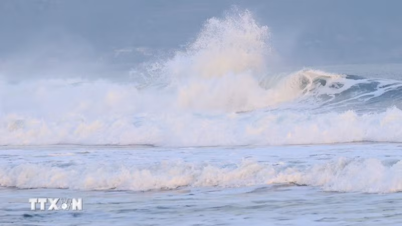 Ảnh minh họa. (Nguồn: TTXVN)