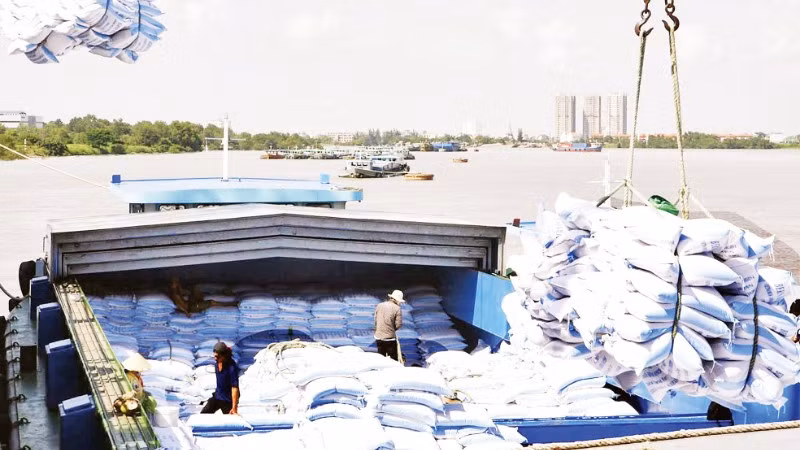 Bốc xếp gạo xuất khẩu tại cảng của doanh nghiệp trên địa bàn Thành phố Hồ Chí Minh. (Ảnh: ANH ĐỨC)