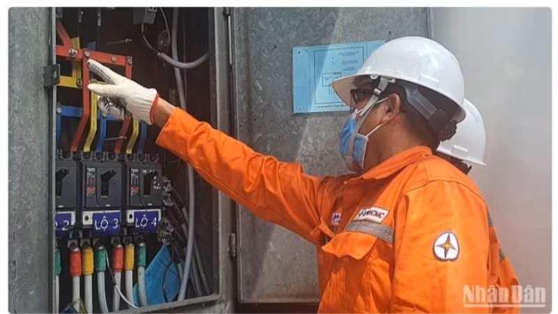 Công nhân Tổng Công ty Điện lực Thành phố Hồ Chí Minh.