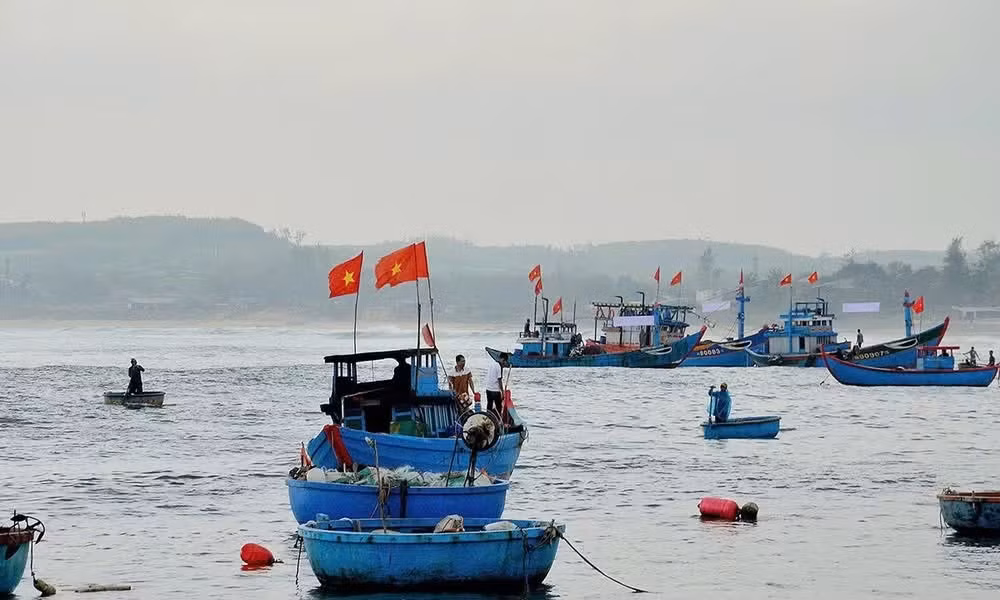 Ngư dân Quảng Ngãi vươn khơi bám biển, thực hiện nghiêm quy định chống khai thác IUU. (Ảnh: LƯU HƯƠNG)