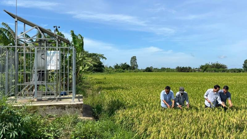 Ngành nông nghiệp và môi trường tỉnh Vĩnh Long phấn đấu tăng trưởng 3,2% trong năm 2026. (Ảnh: HOÀNG TRUNG)