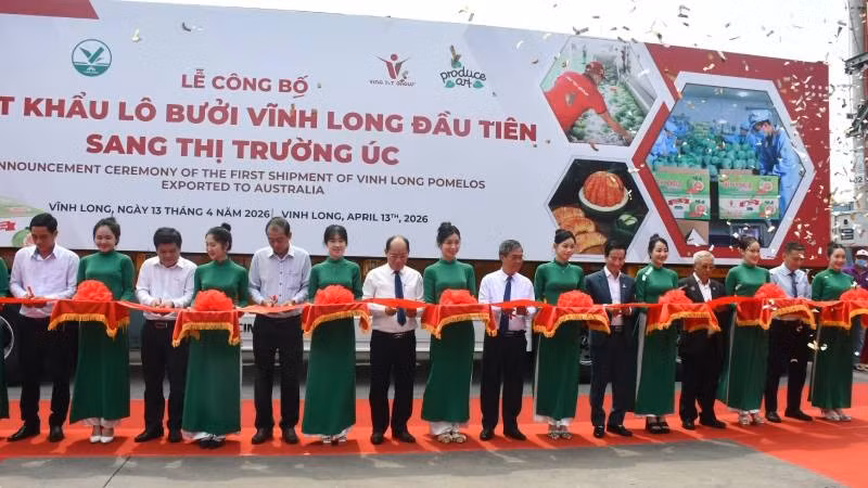 Đại biểu tham dự thực hiện nghi thức cắt băng công bố xuất khẩu lô bưởi Vĩnh Long đầu tiên sang thị trường Australia.