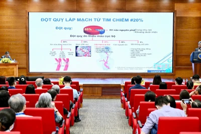 Phiên thảo luận chuyên sâu về khoa học thần kinh.