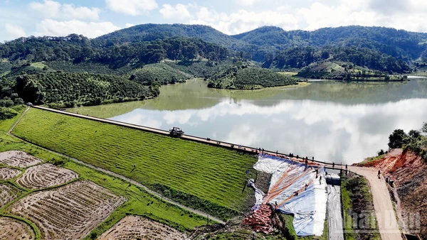 Khu vực xảy ra sạt trượt tại đập chính hồ thủy lợi Cay An đã được lực lượng chức năng xử lý đóng cừ tràm, gia cố đất và phủ bạt. 