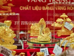 Ảnh: THÀNH ĐẠT
