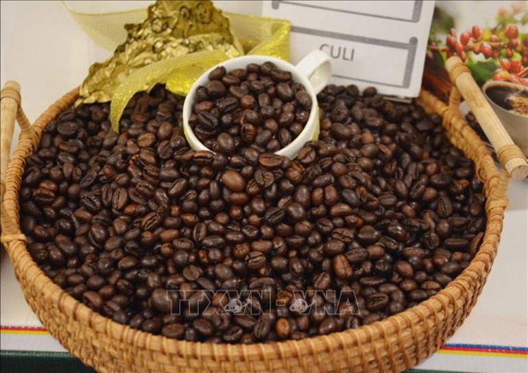Cà-phê Việt Nam chất lượng cao gắn với tăng trưởng xanh và phát triển bền vững. (Ảnh: HOÀI THU/TTXVN) viet-nam-huong-toi-xay-dung-chuoi-nganh-hang-ca-phe-viet-nam-chat-luong-cao-gan-voi-tang-truong-xanh-va-phat-trien-ben-vung-anh-hoai-thuttxvn.jpg