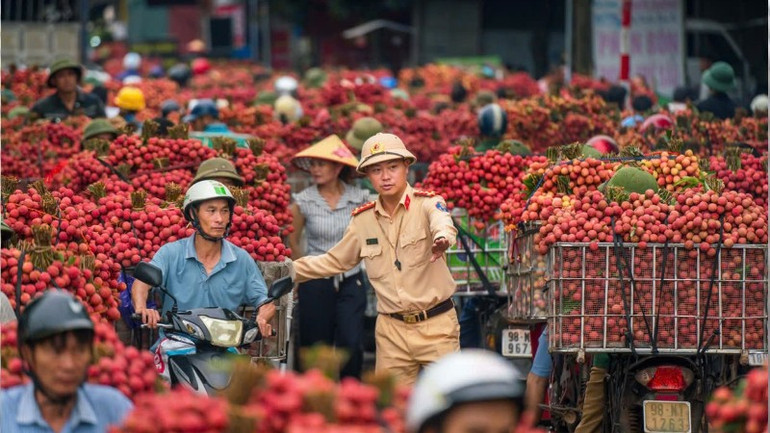 Tác phẩm "Phân luồng giao thông mùa vải thiều", tác giả Trần Văn Tuấn, giải Khuyến khích. 6e2217655e21d27f8b30-386.jpg
