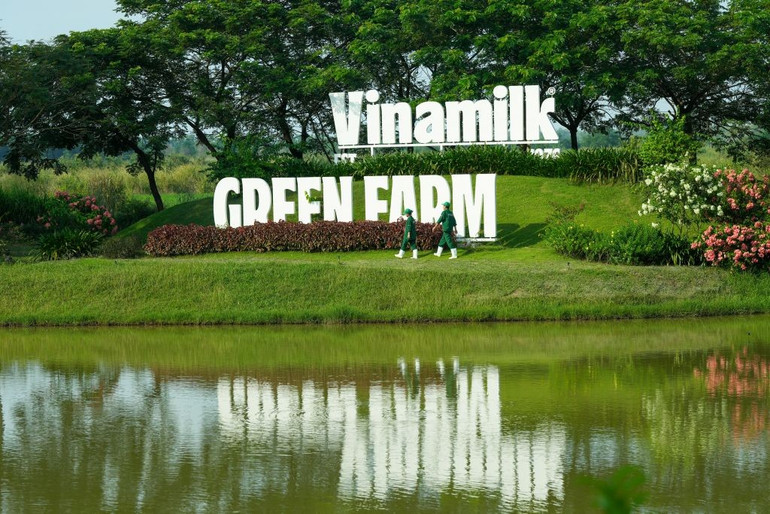 Ảnh: QUANG ĐỊNH 9b.jpg