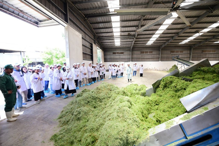 Ảnh: QUANG ĐỊNH 6.jpg