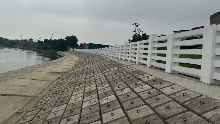 Đê hữu Cầu, khu vực Vạn An đã được làm mới, gia cố xong trước mùa mưa lũ. img-2025-07-19-195731.jpg