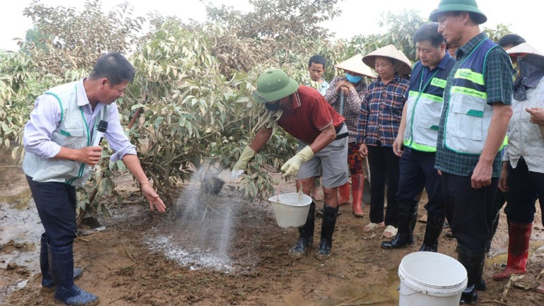 Hướng dẫn người dân kỹ thuật trồng trọt sau khi nước rút. 092562a28fb002ee5ba1-7984.jpg