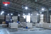 [Video] Năm 2025: Xuất khẩu nông, lâm, thủy sản phấn đấu đạt trên 65 tỷ USD