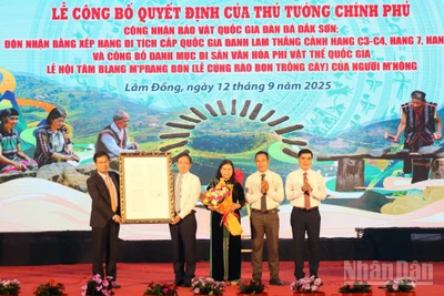 Lâm Đồng đón nhận Quyết định của Thủ tướng Chính phủ công nhận Bảo vật quốc gia Đàn đá Đắk Sơn.