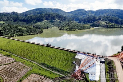 Khu vực xảy ra sạt trượt tại đập chính hồ thủy lợi Cay An đã được lực lượng chức năng xử lý đóng cừ tràm, gia cố đất và phủ bạt. 