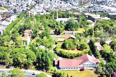 Khuôn viên xanh Trường đại học Đà Lạt.