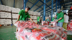 Đóng gói gạo xuất khẩu tại Công ty TNHH Chơn Chính, Đồng Tháp. (Ảnh: ĐỨC ANH)