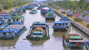 Ảnh minh họa.